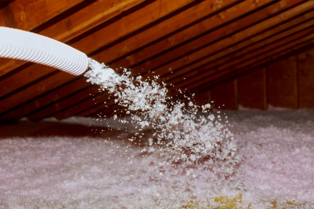 Best Basement Insulation  in West Des Moines, IA