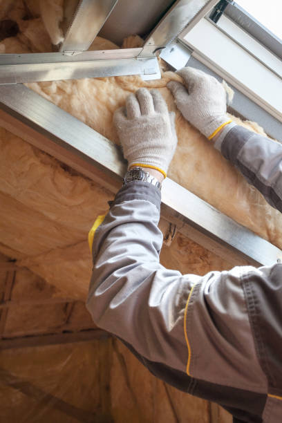 Best Soundproof Insulation  in West Des Moines, IA