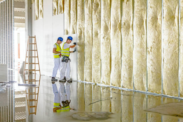 Best Eco-Friendly or Green Insulation Solutions  in West Des Moines, IA